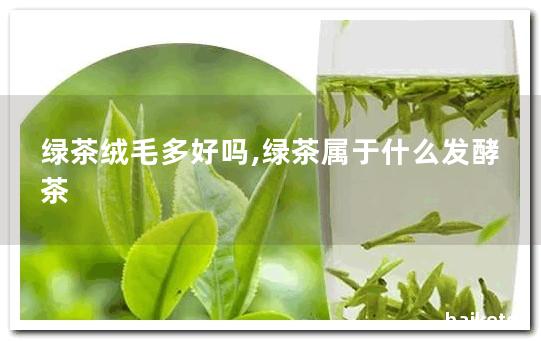 绿茶绒毛多好吗,绿茶属于什么发酵茶 